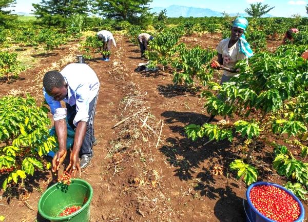 79.000 villages de la RDC. Quels objectifs nous fixons-nous pour les industrialiser ?